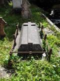 image of grave number 499088